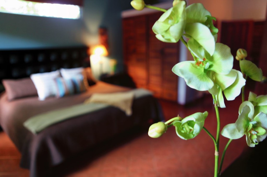 The king bed in the master suite, seen past an orchid at Casa Colorado, a vacation rental home with a private pool in Tamarindo, Costa Rica