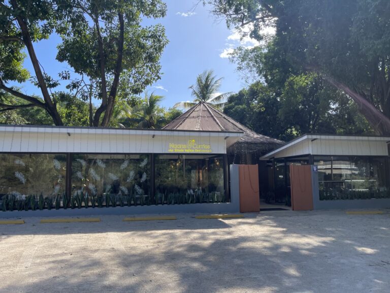 Naans & Curries in Tamarindo, Costa Rica