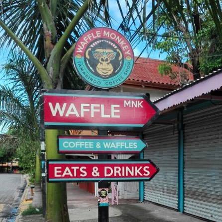Waffle Monkey in Tamarindo, Costa Rica